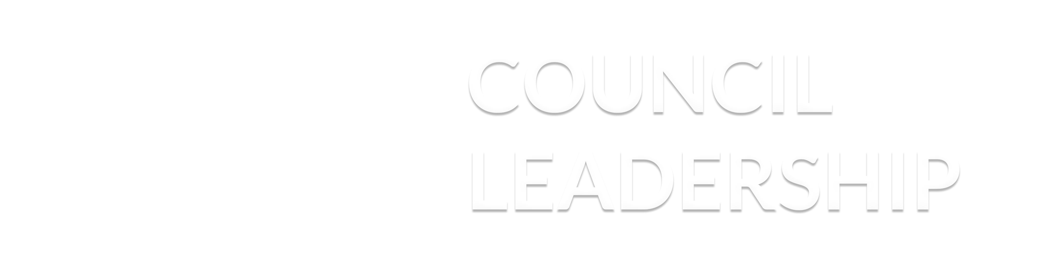 council leadership_text